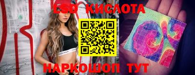 Альфа ПВП Славгород