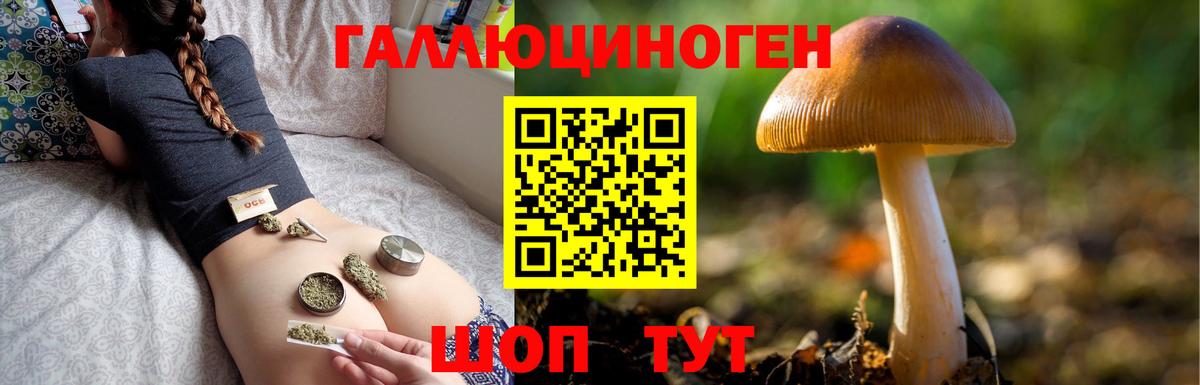 Галлюциногенные грибы Psilocybe  Вход с VPN  Нефтекамск 